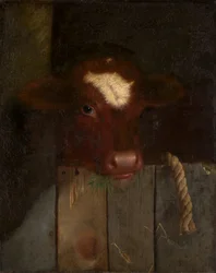 La Mucca di Famiglia (Testa di Vitello)